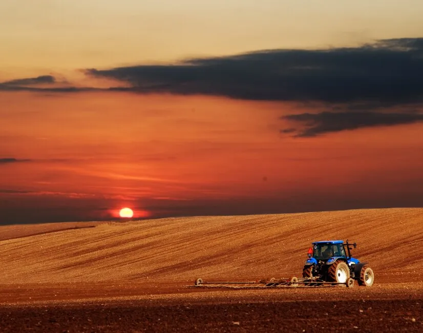 Arado atardecer